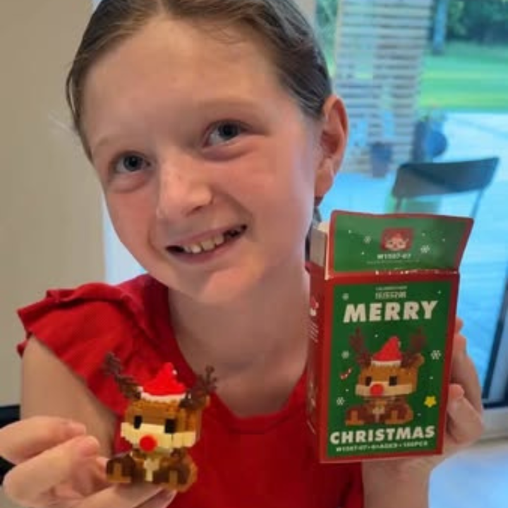 🎅 Santa Byggeklosser™ – 12 figure natalizie creative per tutta la famiglia. 🎄